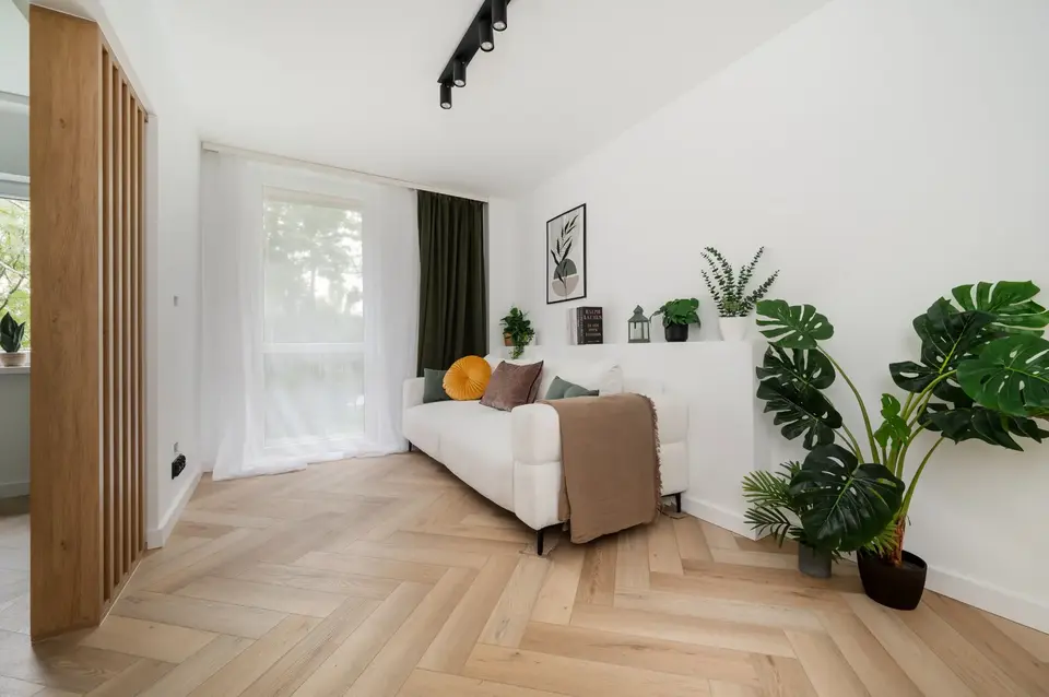 Salon z zielonymi akcentami w realizacji przy ul. Ciasnej